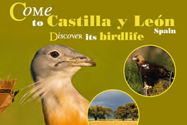 Come to Castilla y León. Discover its birdlife