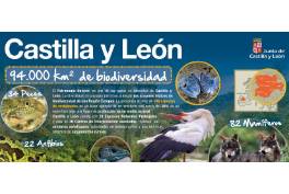 Castilla y León, Paraíso ornitológico