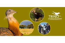 Ven a Castilla y León. Descubre sus aves