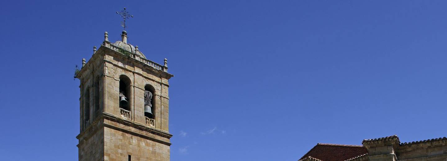 Soria. Concatedral de San Pedro