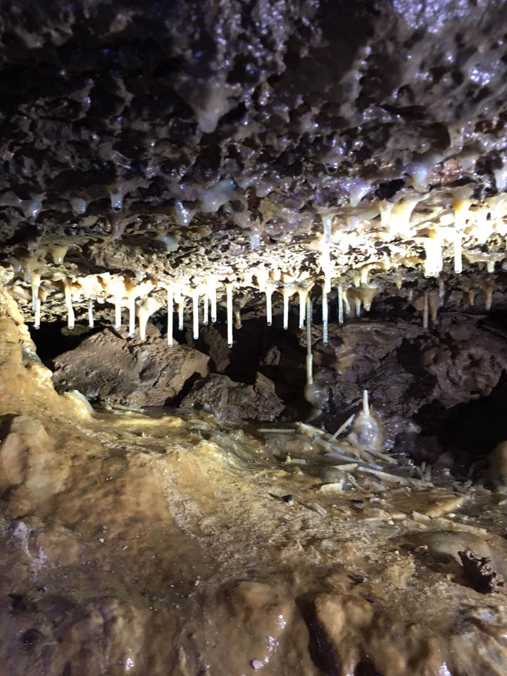 Cueva Llamazares