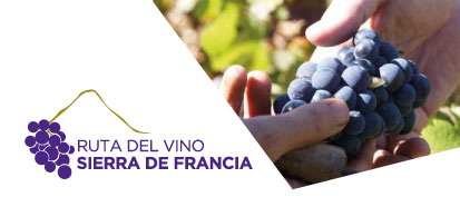 mapa_ruta_del_vino_2021