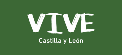 publicacion-vive-cyl
