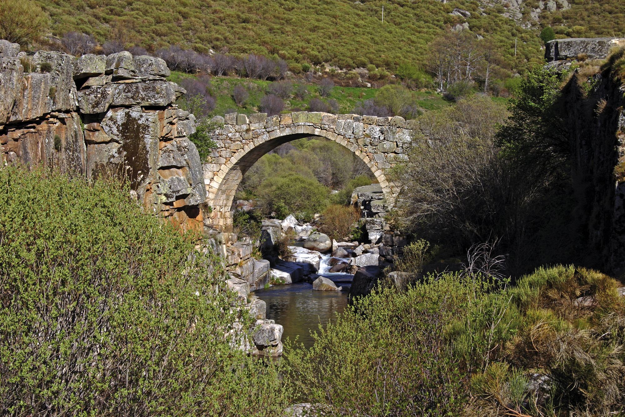 Sierra de Gredos Regional Park | Portal de Turismo de Castilla y León