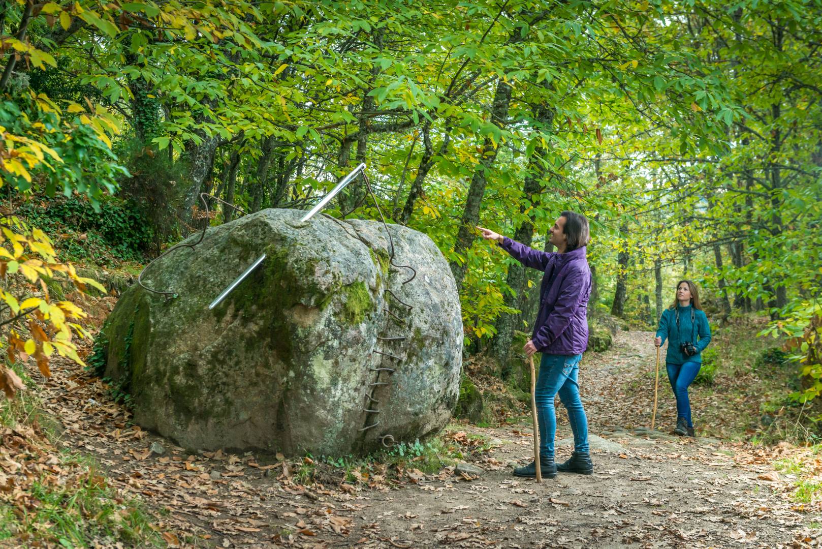 ruta_vino_sierra_de_francia_natureleza