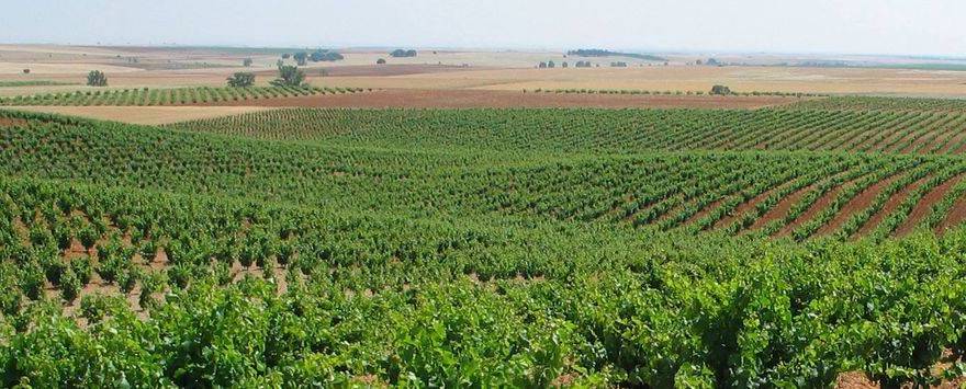 Ruta del Vino de Zamora 01