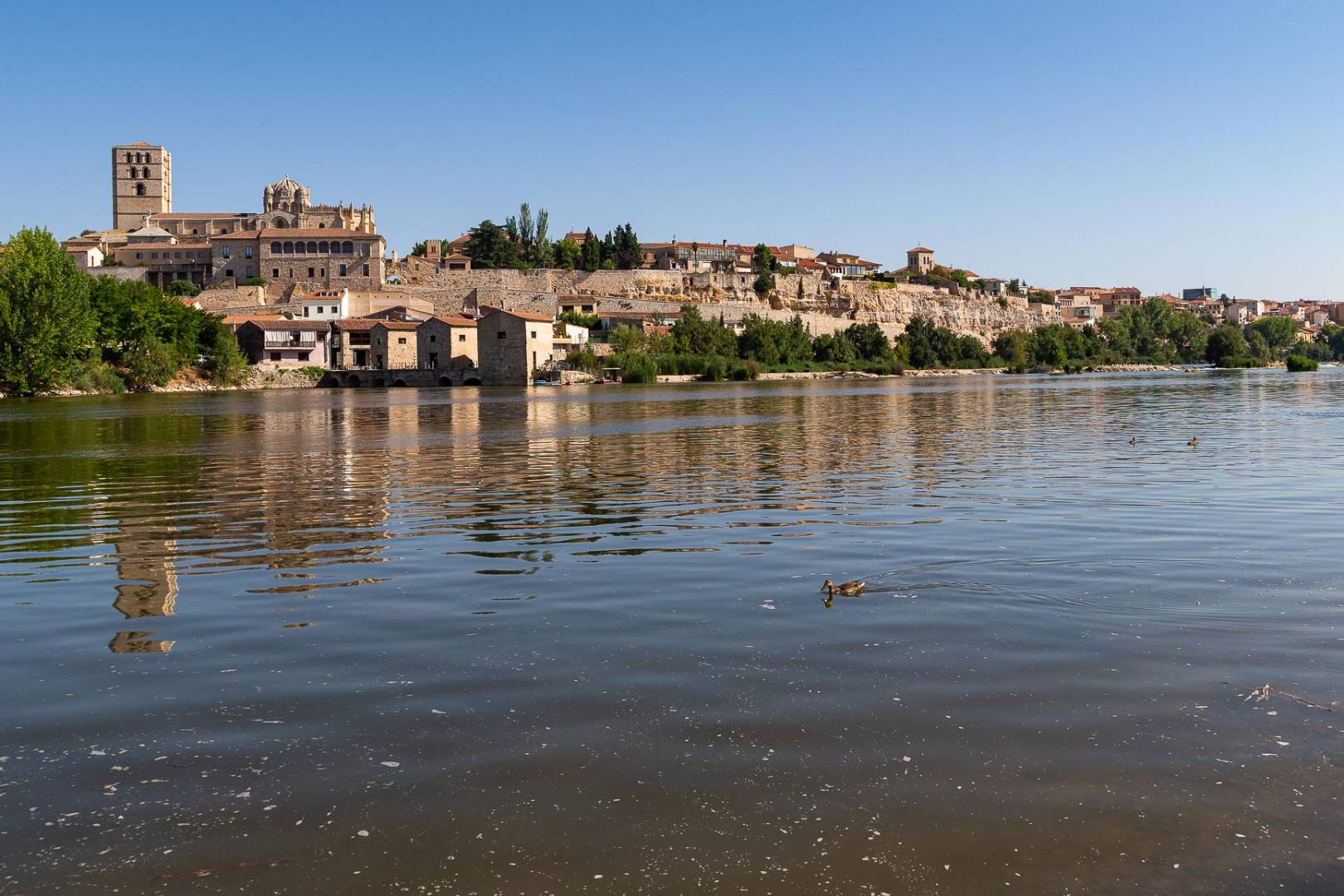 Ruta del Vino de Zamora 05