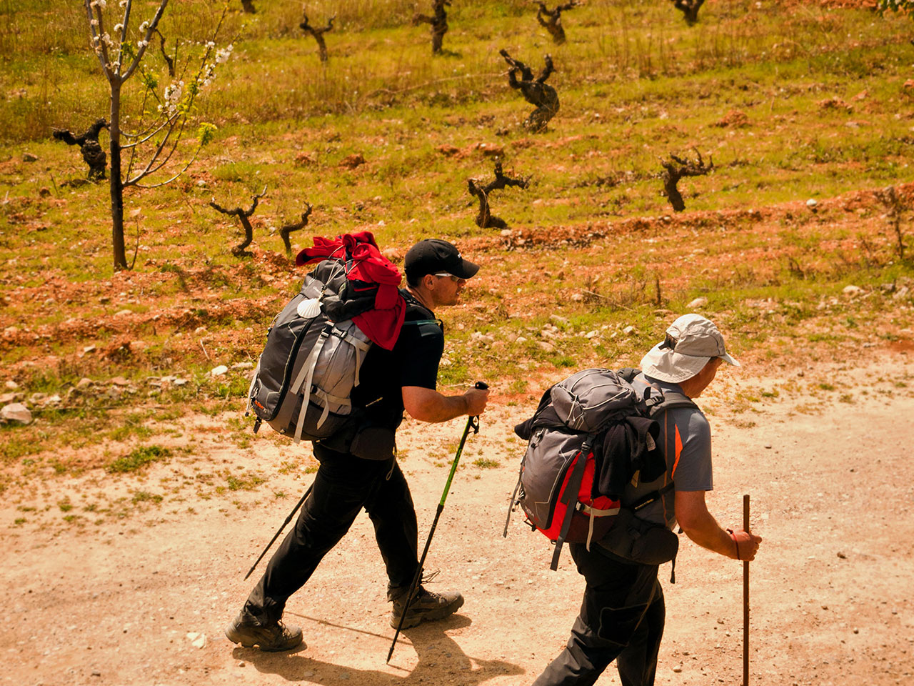 Camino a Santiago en el Bierzo