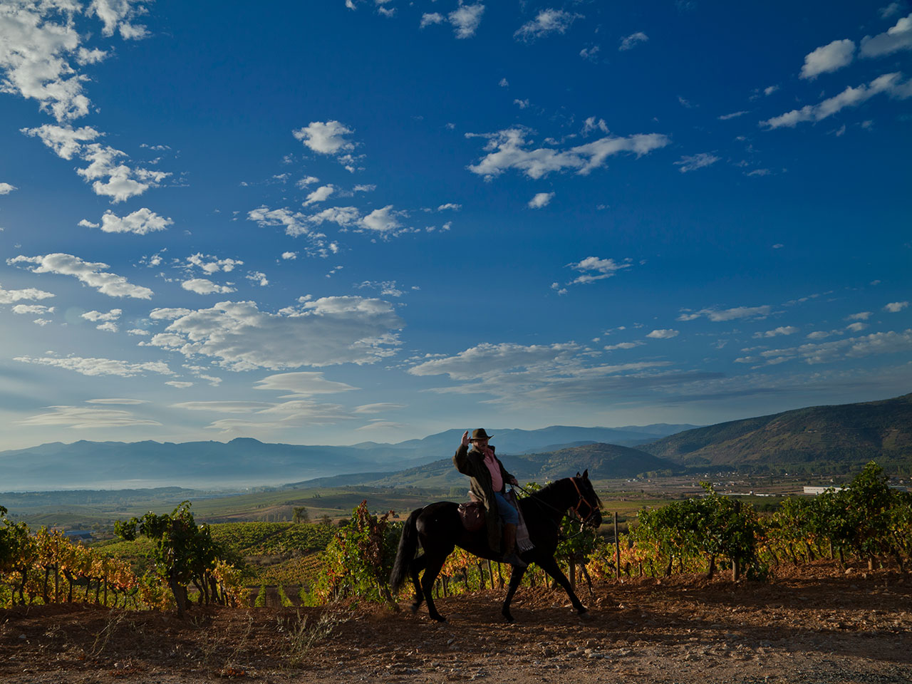 Peregrinos a Caballo