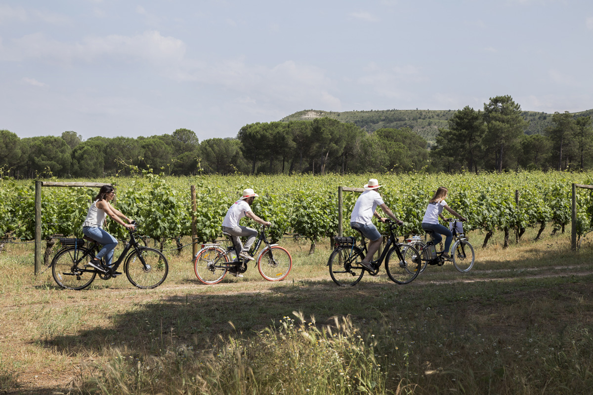 Cicloturismo RV Ribera del Duero