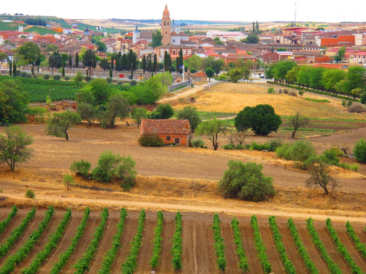 Ruta del Vino de Rueda