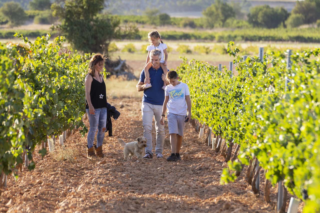 Familias y parejas en los viñedos