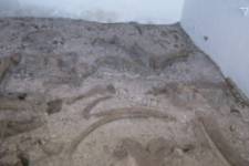 Yacimientos de Ambrona y Torralba