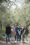 Atapuerca Natural