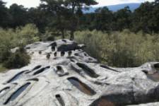 Necrópolis Altomedieval de Cuyacabras