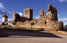 Castillo de Laguna de Negrillos