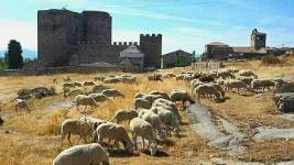 Castillo de Puente Congosto