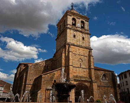 Museo Colegiata San Miguel Arcángel