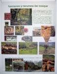 Cartel del Centro de Interpretación del Bosque