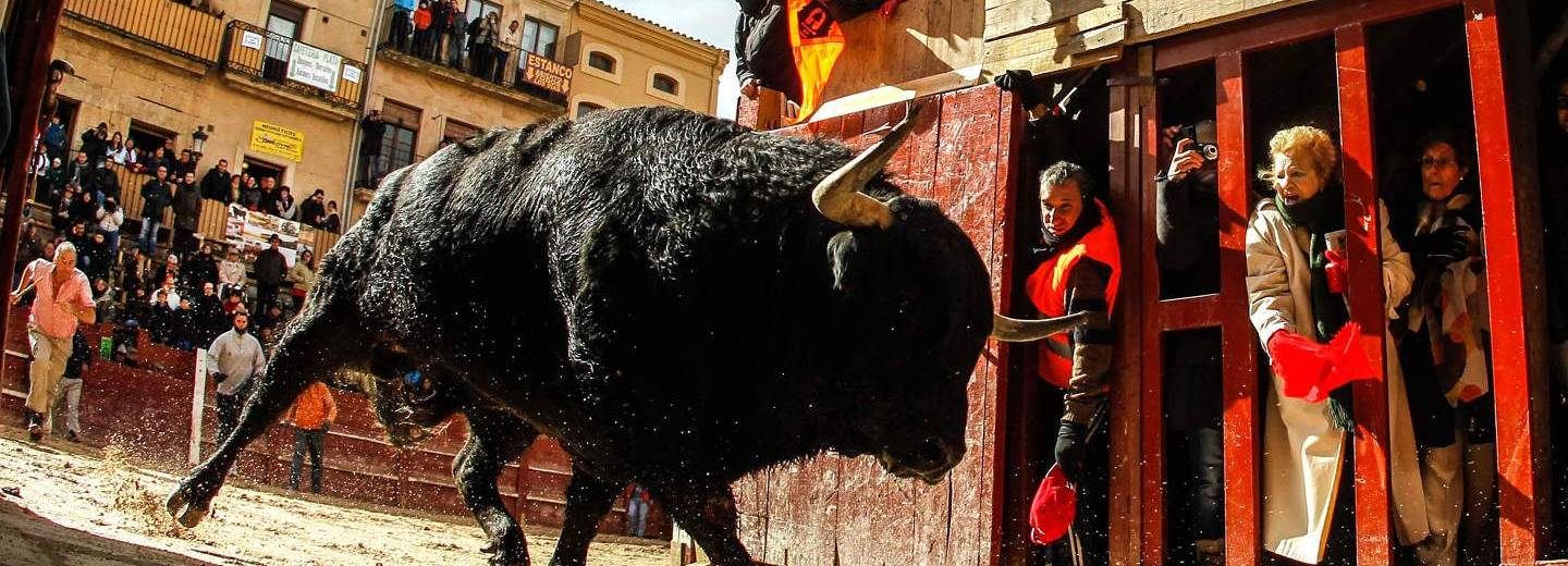 The Bull Carnival - Official Portal Tourism. Junta de y Leon