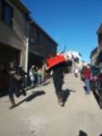 Fiestas de los Carochos