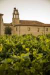Monasterio de Santa María de Retuerta