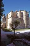 Colegiata de Santa María de Cluniaco