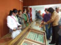 Colección mariposas