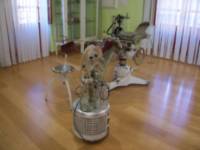 Museo de la Medicina