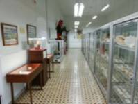 Museo de Ciencias Naturales
