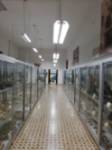 Museo de Ciencias Naturales