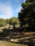 CABALGREDOS
