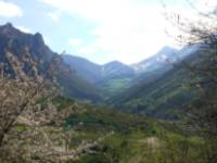 Primavera