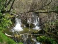 Arroyo
