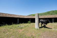 Corral de Chinatos