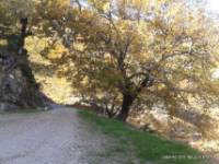 Ruta BTT Candeleda Albarea