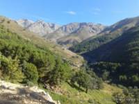 Ruta BTT Candeleda Albarea