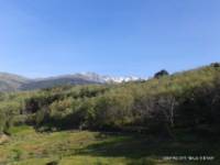 Ruta BTT Candeleda Albarea