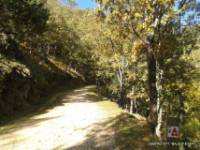 Ruta BTT Candeleda Raso