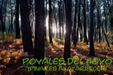 Ruta BTT Poyales Torreta