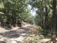 Ruta BTT Poyales Torreta