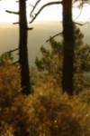 Montes Obarenes