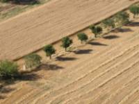 Montes Obarenes