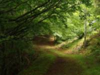 Montes Obarenes