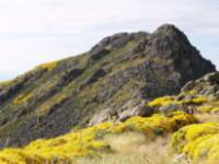 Cerro de la Escusa