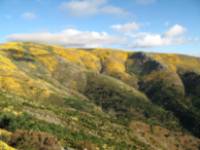 Cerro de la Escusa
