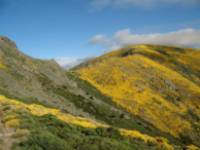 Cerro de la Escusa