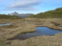 Lago Ausente