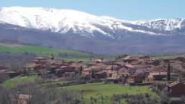 Madriguera