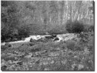 Presa de los Linos